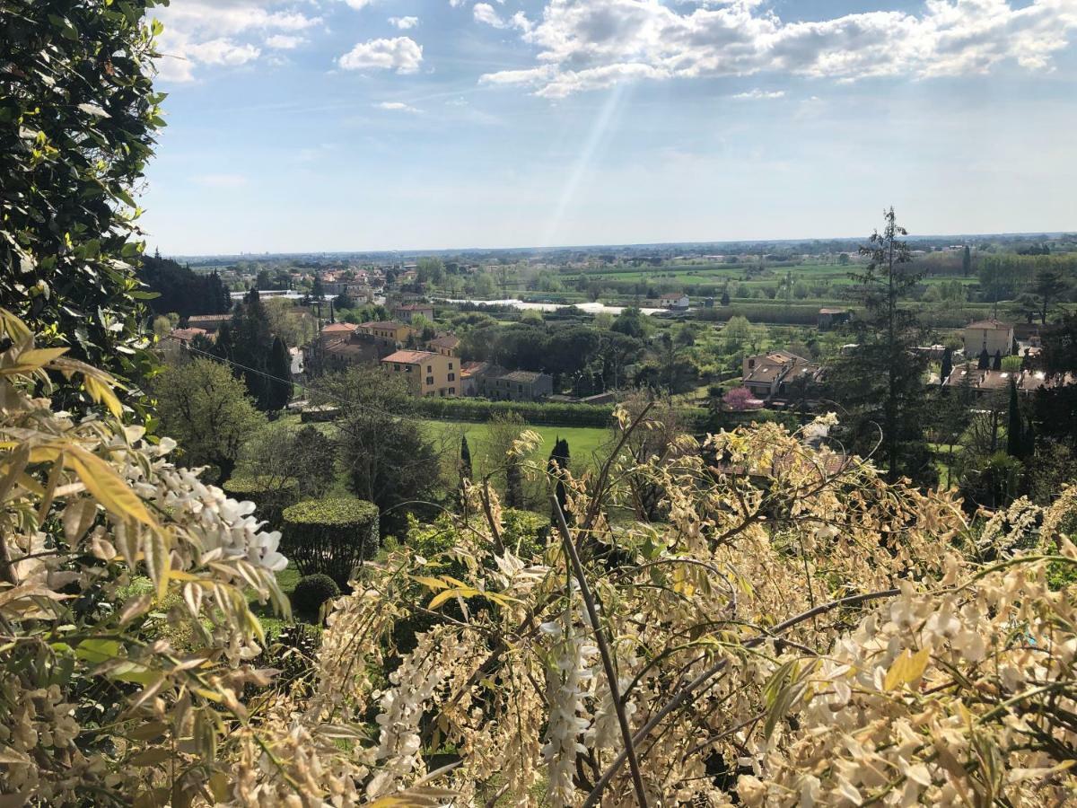 Villa Alta - Residenza D'Epoca Con Piscina 圣朱利亚诺-泰尔梅 外观 照片