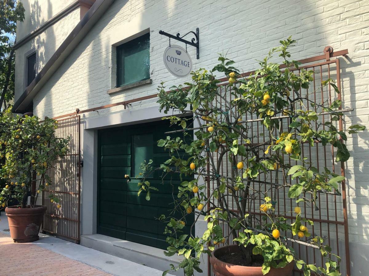 Villa Alta - Residenza D'Epoca Con Piscina 圣朱利亚诺-泰尔梅 外观 照片